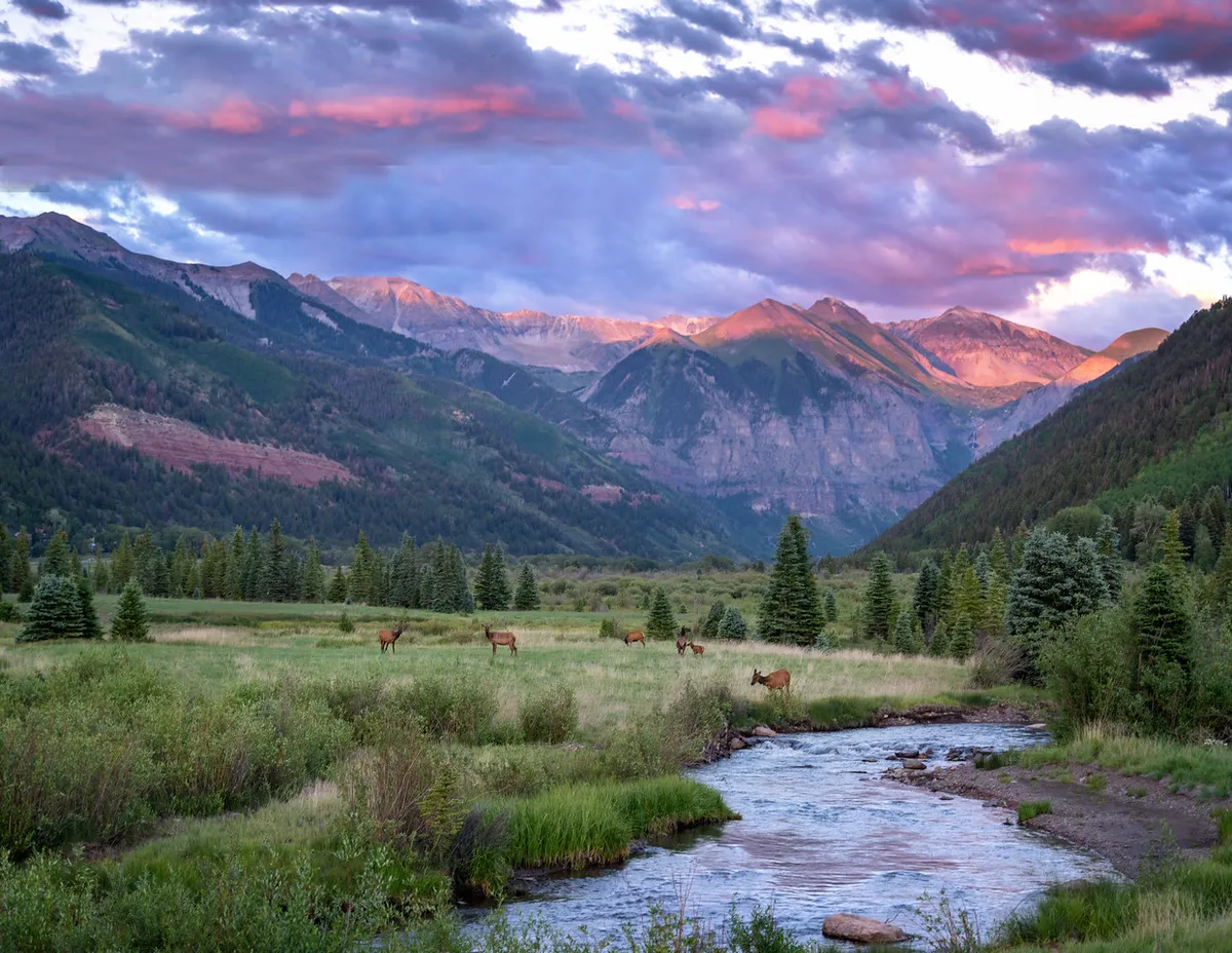 A breathtaking landscape featuring distant mountains, a winding stream, and grazing elk, all illuminated by soft sunset colors. The scene is tranquil and immersive, highlighting the serenity and natural beauty surrounding the retreat.